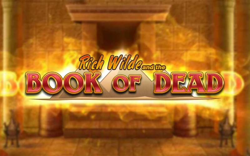 Entdecke das Spiel Book of Dead auf der Locowin-Website.