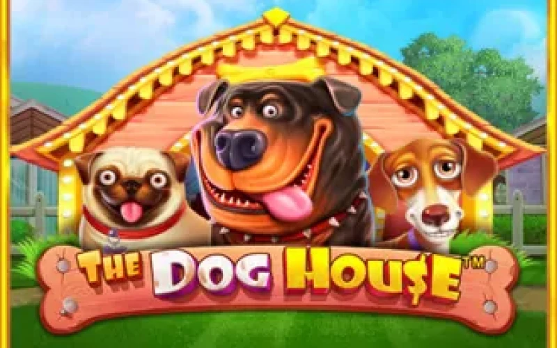 Das Dog House-Spiel erfreut Sie mit jeder Drehung bei Locowin.