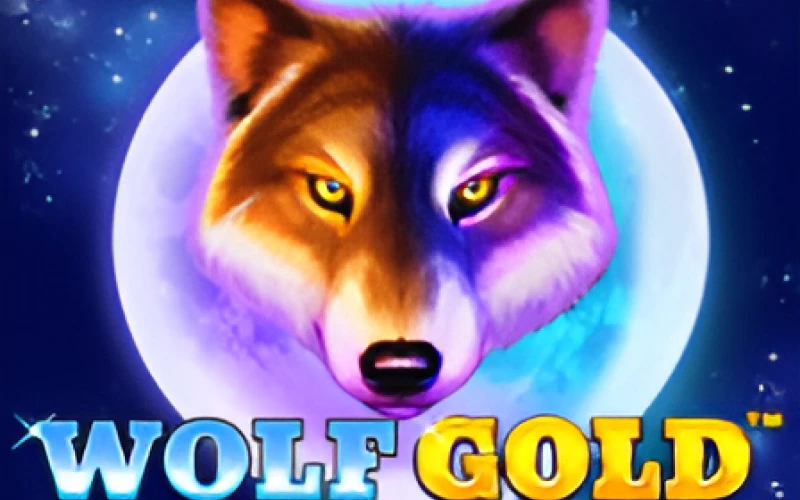 Spielen Sie im Locowin Casino den kultigen Spielautomaten Wolf Gold.